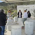 Participants learning traditional Brač stone carving during a group Journey Through Stone workshop at Kameni otok